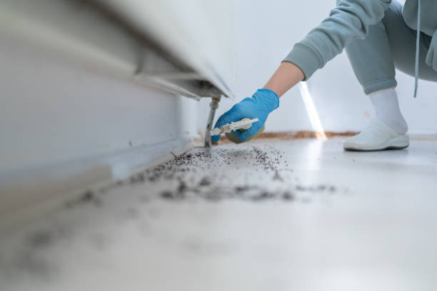 Best Cockroach Control Services  in Union Gap, WA